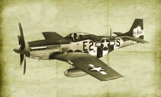 Italeri P-51D/K ETO Aces 2831
