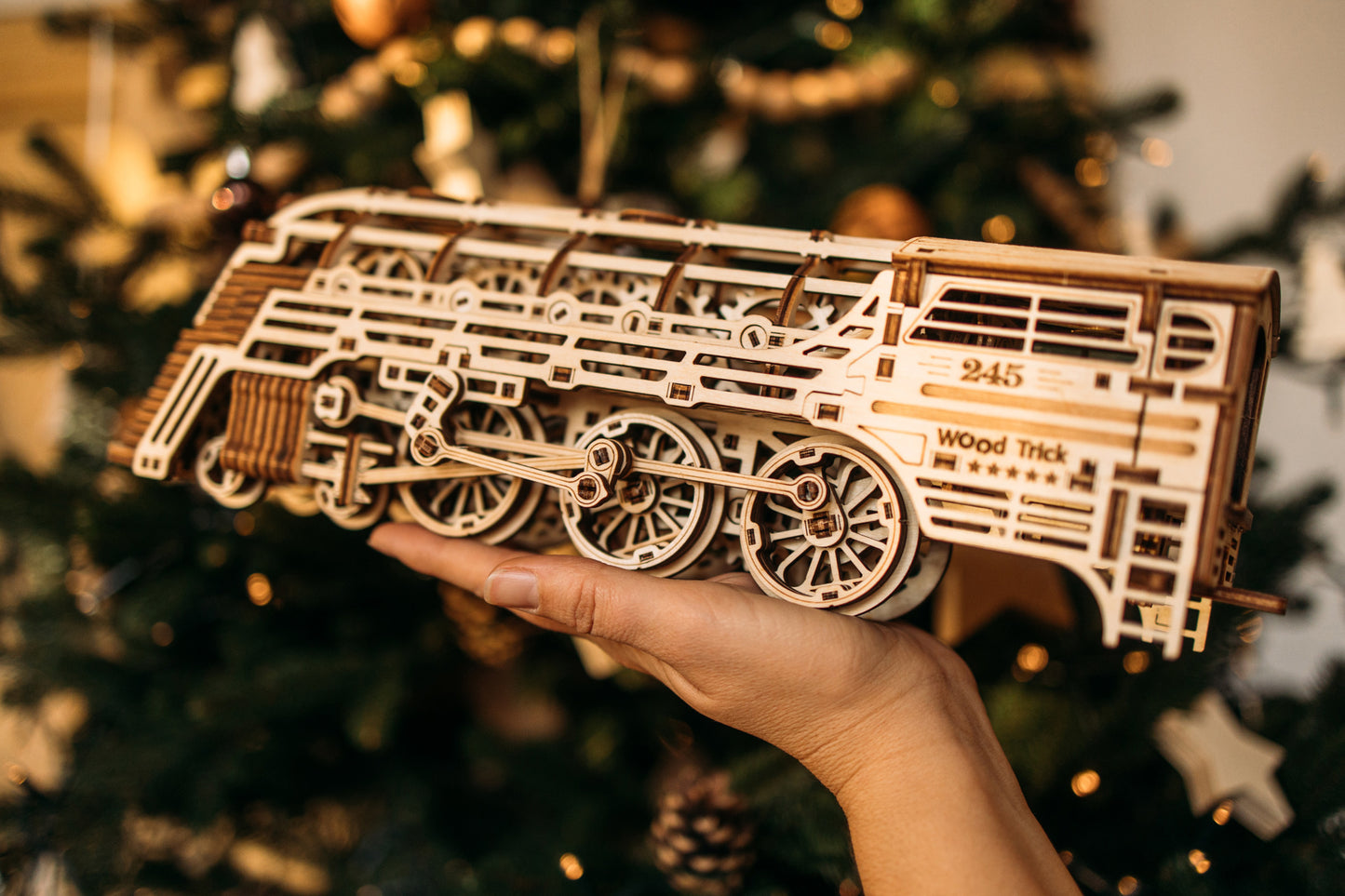 Wood Trick Atlantic express WDTK029