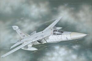 Italeri EF-111 A Raven 1235