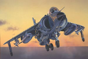 Italeri Sea Harrier Frs.1 Falklands 1236