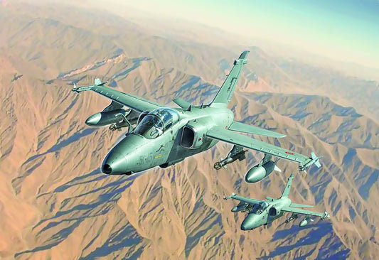 Italeri AMX Single Seat 1460